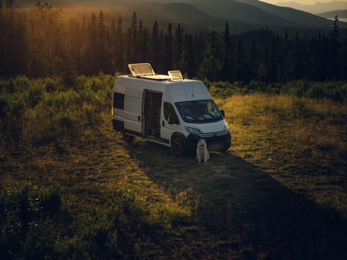 A camper van on a grassy track at golden hour in front of a dark forest